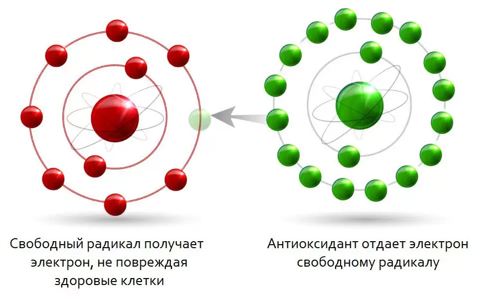 радикалы.jpg радикалы.jpg