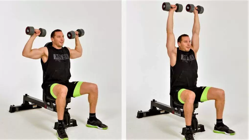 Комплекс силовых упражнений для начинающих Комплекс силовых упражнений для начинающих