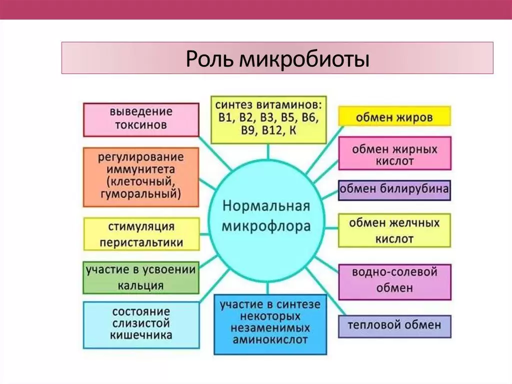 Как восстановить кишечную микрофлору Как восстановить кишечную микрофлору