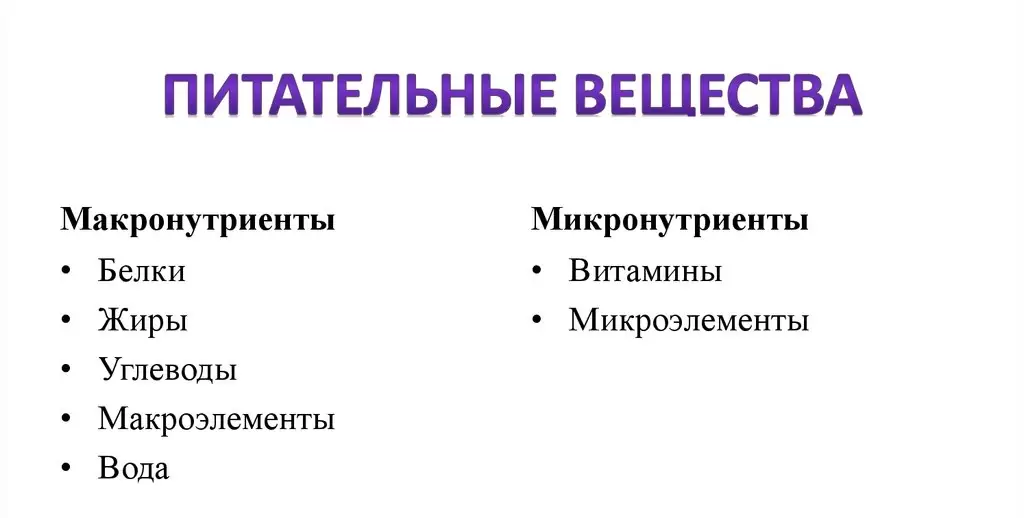 Самые важные витамины и микроэлементы Самые важные витамины и микроэлементы