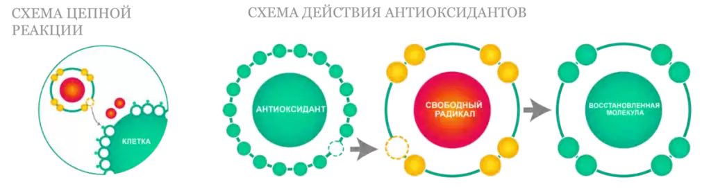 76229f6207f0476b6c4d8ab2eeeca9b2.png 76229f6207f0476b6c4d8ab2eeeca9b2.png