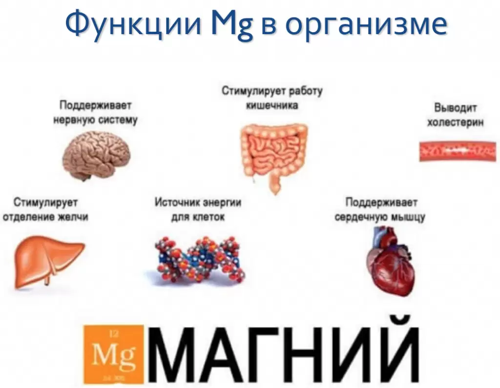 Какая польза от магния и в каких продуктах содержится Какая польза от магния и в каких продуктах содержится