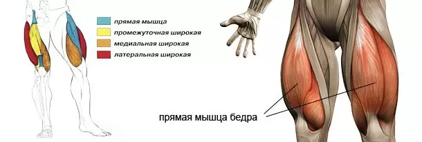 Как накачать квадрицепсы Как накачать квадрицепсы