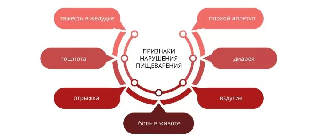 Как улучшить пищеварение Как улучшить пищеварение