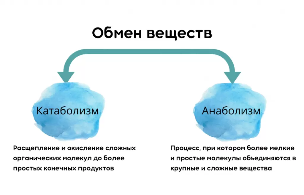 1 (3).png 1 (3).png
