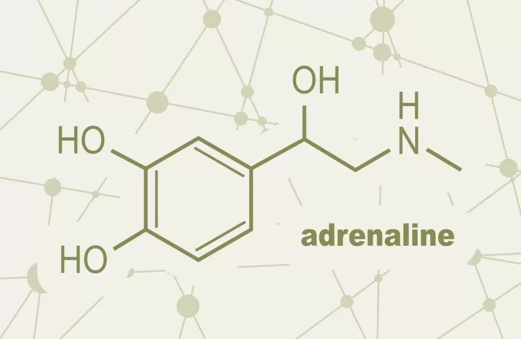 adrenalina.jpg adrenalina.jpg