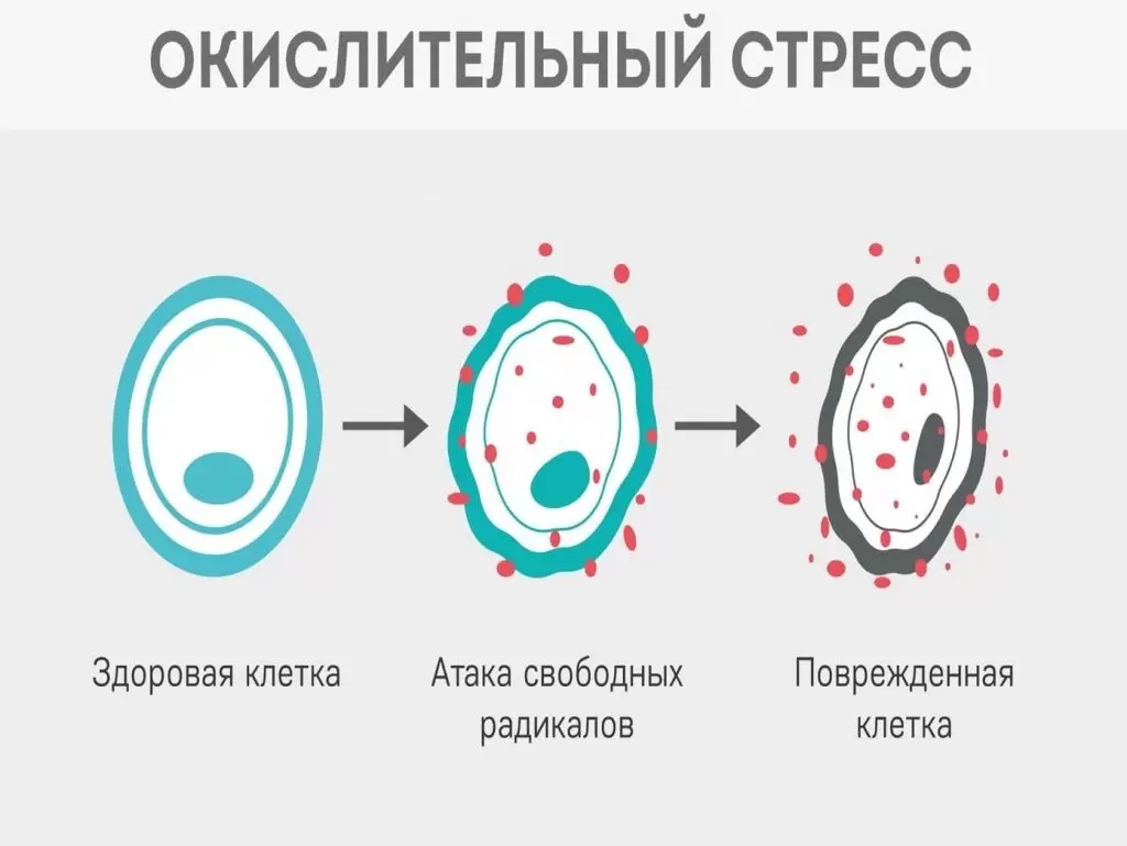 Симптомы окислительного стресса клеток Симптомы окислительного стресса клеток