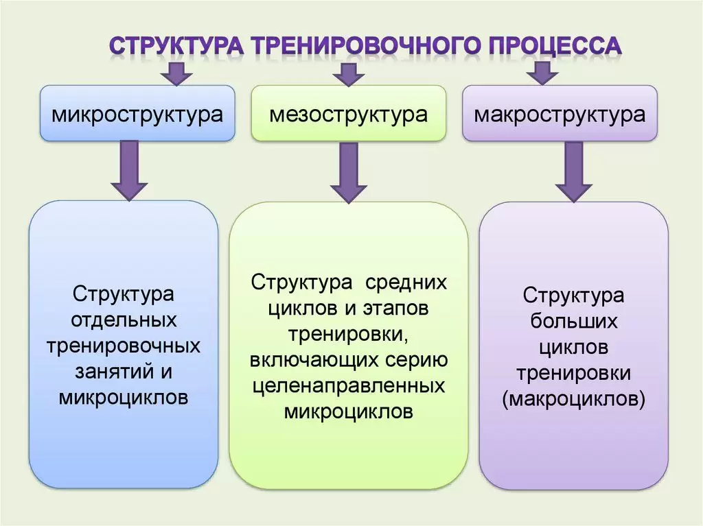 Микро-, макро- и мезопериодизация в тренажерном зале Микро-, макро- и мезопериодизация в тренажерном зале