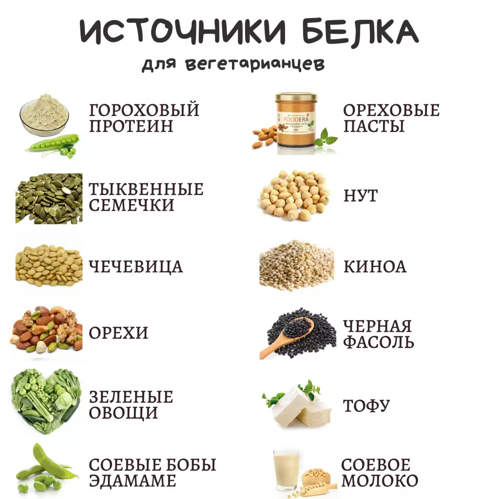 Оптимальное соотношение животного и растительного белка Оптимальное соотношение животного и растительного белка