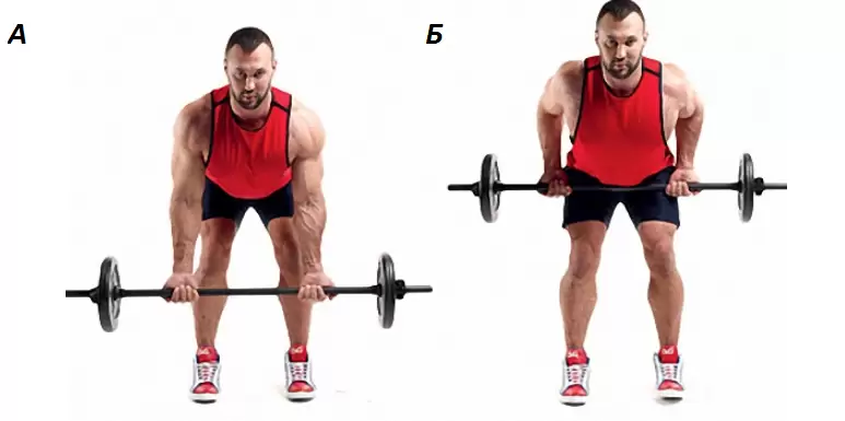 Упражнения для мышц спины: тренируемся дома и в зале Упражнения для мышц спины: тренируемся дома и в зале