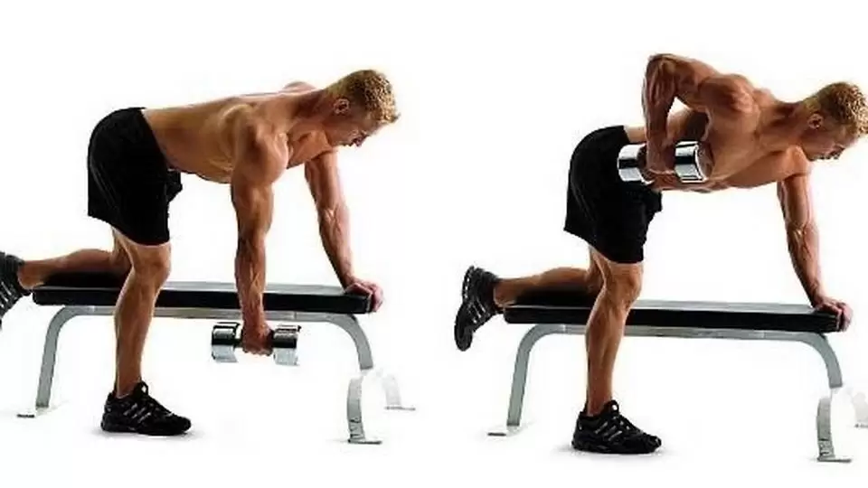 Как накачать широчайшие мышцы спины Как накачать широчайшие мышцы спины