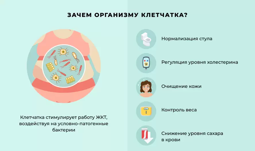 В каких продуктах содержится клетчатка В каких продуктах содержится клетчатка