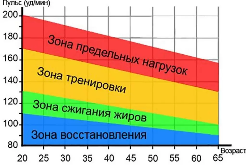 Как рассчитать пульс для жиросжигания Как рассчитать пульс для жиросжигания