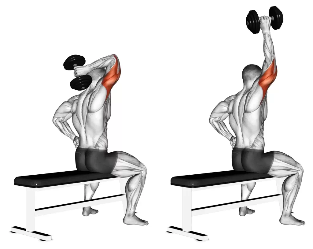 Тренировка с гантелями на трицепс дома Тренировка с гантелями на трицепс дома