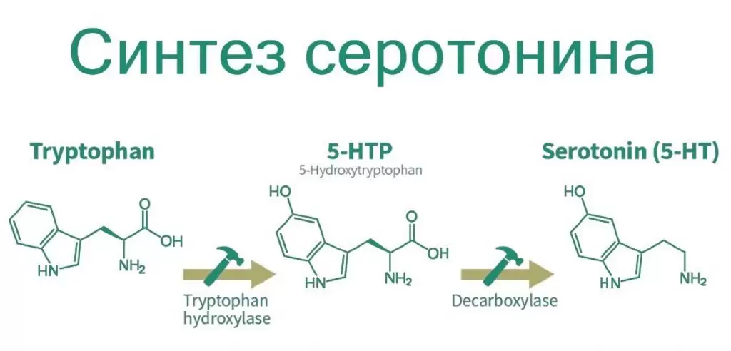 Триптофан 2.jpg Триптофан 2.jpg