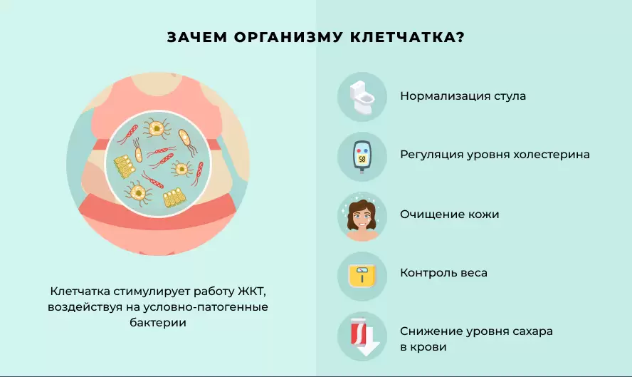 рецепты с клетчаткой для завтрака рецепты с клетчаткой для завтрака
