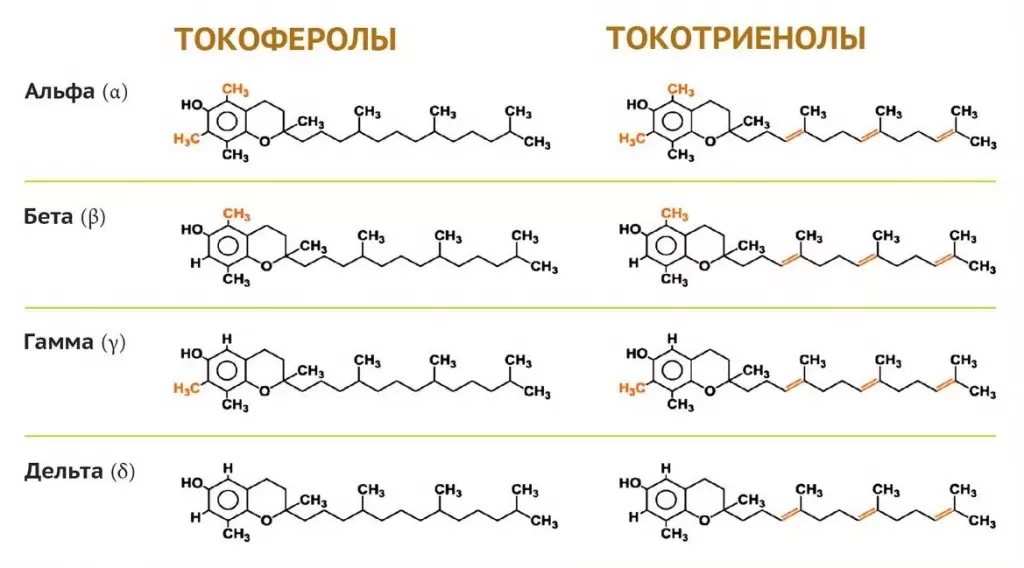 формы витамина е.jpg формы витамина е.jpg