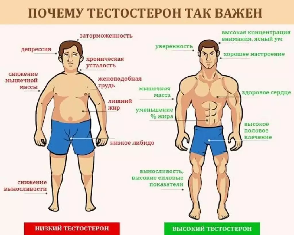 симптомы дефицита тестостерона у мужчин симптомы дефицита тестостерона у мужчин