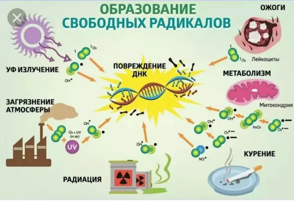 Что такое окислительный стресс, какие есть симптомы и лечение Что такое окислительный стресс, какие есть симптомы и лечение