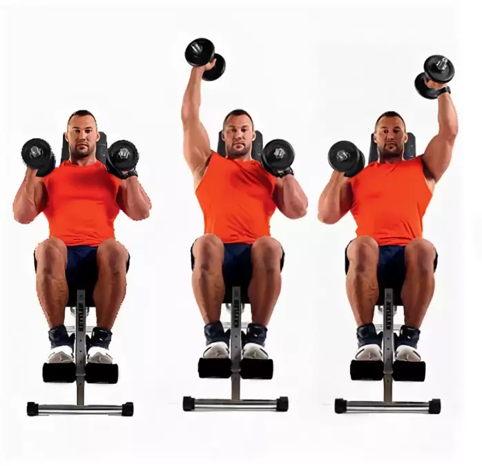 Как накачать дельты штангой Как накачать дельты штангой