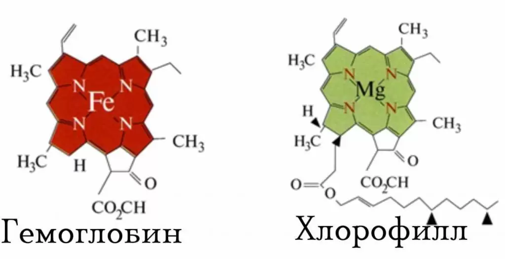 Для чего применяется хлорофилл Для чего применяется хлорофилл