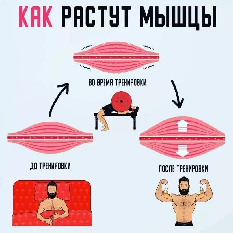 После скольких тренировок растут мышцы После скольких тренировок растут мышцы