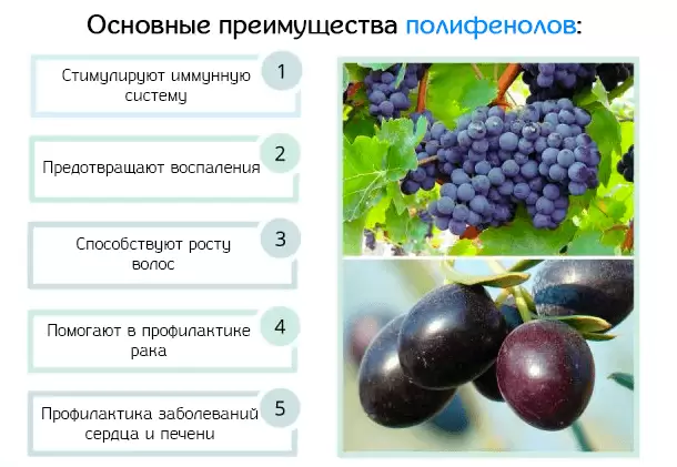 В каких продуктах содержатся полифенолы В каких продуктах содержатся полифенолы