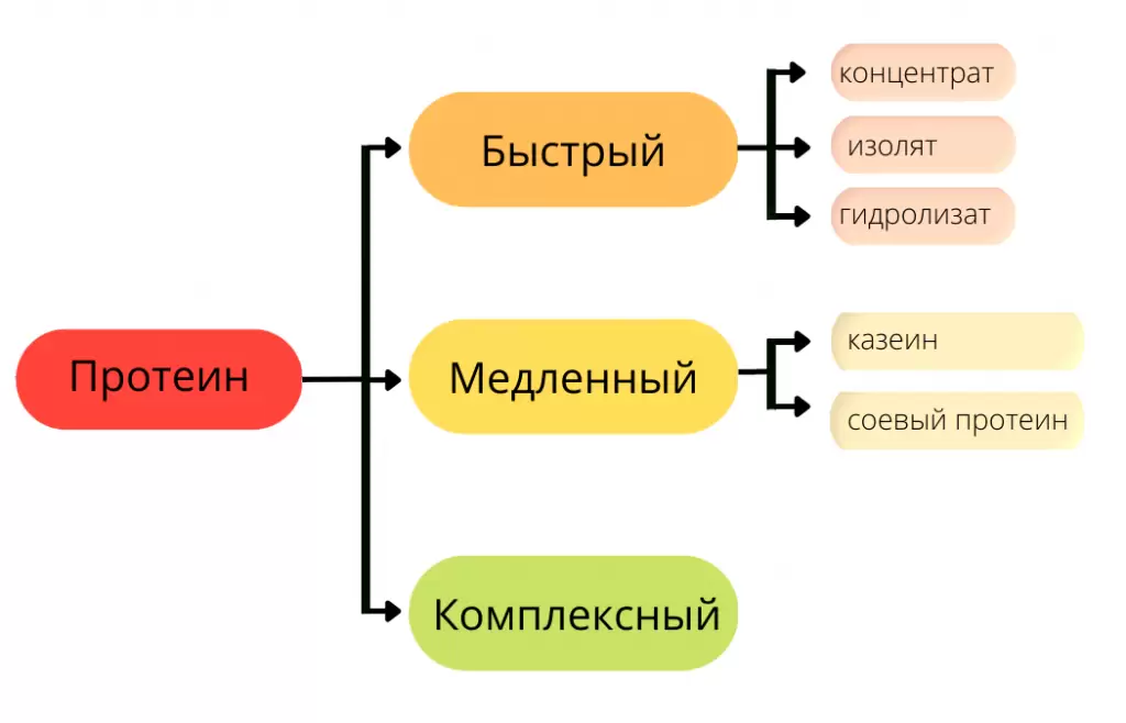 Протеин (2).png Протеин (2).png