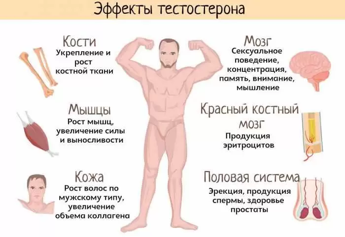 Причины, симптомы и лечение недостатка тестостерона у мужчин Причины, симптомы и лечение недостатка тестостерона у мужчин