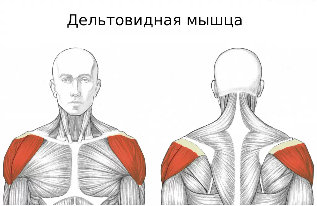 image248.png image248.png