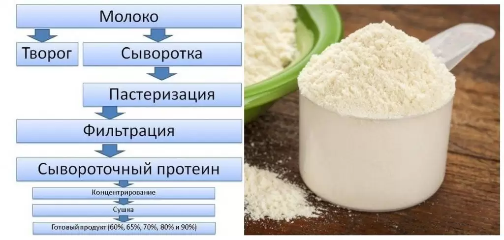 лучший сывороточный протеин лучший сывороточный протеин